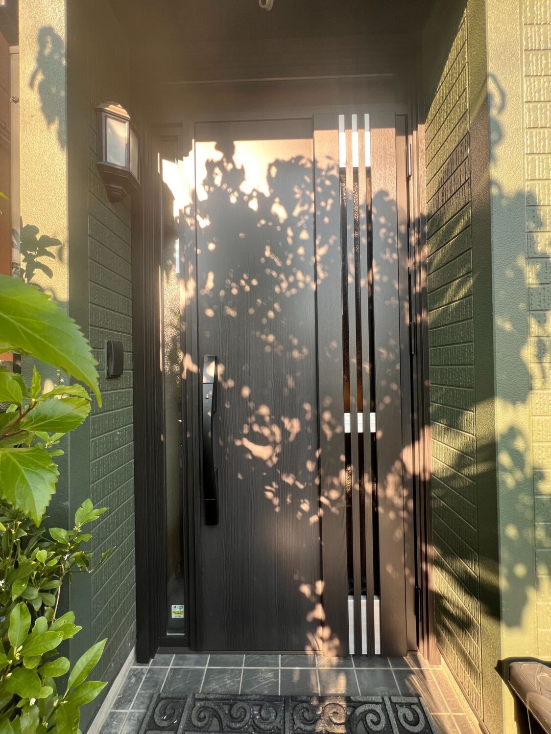 Ｍ８３型　トリノパイン